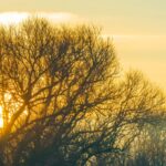 Il Sole può influenzare i terremoti? Nuove scoperte