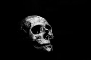 Come ha fatto un cervello a diventare di vetro: la scoperta dopo millenni