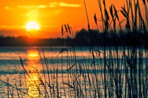 Addio a La Niña: caldo record ovunque