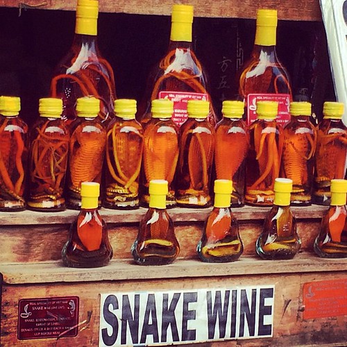 Vino di Serpente: leggenda od esiste per davvero (e fa pure bene)? Vino di Serpente: leggenda od esiste per davvero (e fa pure bene)?