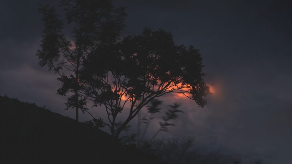 Il mistero di Summerville, il paese con le strane luci nel cielo Il mistero di Summerville, il paese con le strane luci nel cielo