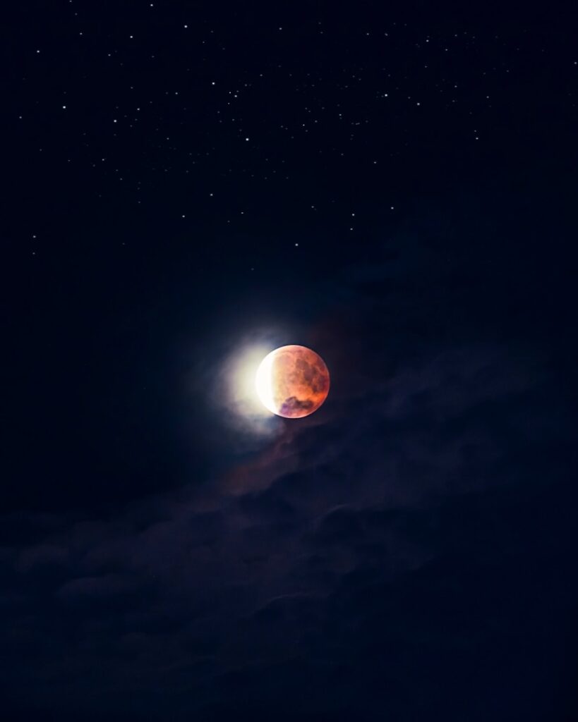 Torna lo spettacolo della Luna delle Fragole: ecco chi potrà ammirarla Torna lo spettacolo della Luna delle Fragole: ecco chi potrà ammirarla