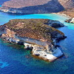 Incredibile scoperta a Lampedusa: apparsa una specie mai vista in Europa
