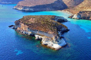 Incredibile scoperta a Lampedusa: apparsa una specie mai vista in Europa