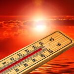 L’“ameba di fuoco” che vive a 63 °C: scoperto un nuovo limite estremo per la vita eucariotica