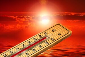 L’“ameba di fuoco” che vive a 63 °C: scoperto un nuovo limite estremo per la vita eucariotica