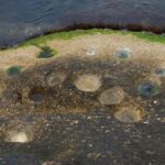 Orme di dinosauri ritrovate allo Stelvio: un tuffo nel passato preistorico