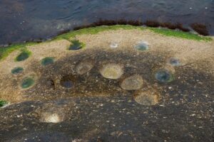 Orme di dinosauri ritrovate allo Stelvio: un tuffo nel passato preistorico