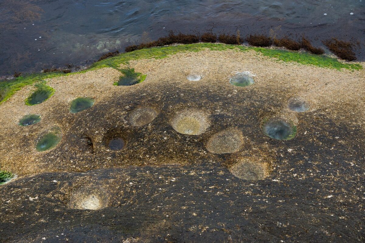Orme di dinosauri ritrovate allo Stelvio: un tuffo nel passato preistorico