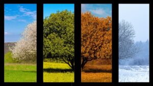 Stagioni e inclinazione terrestre: la vera causa del clima