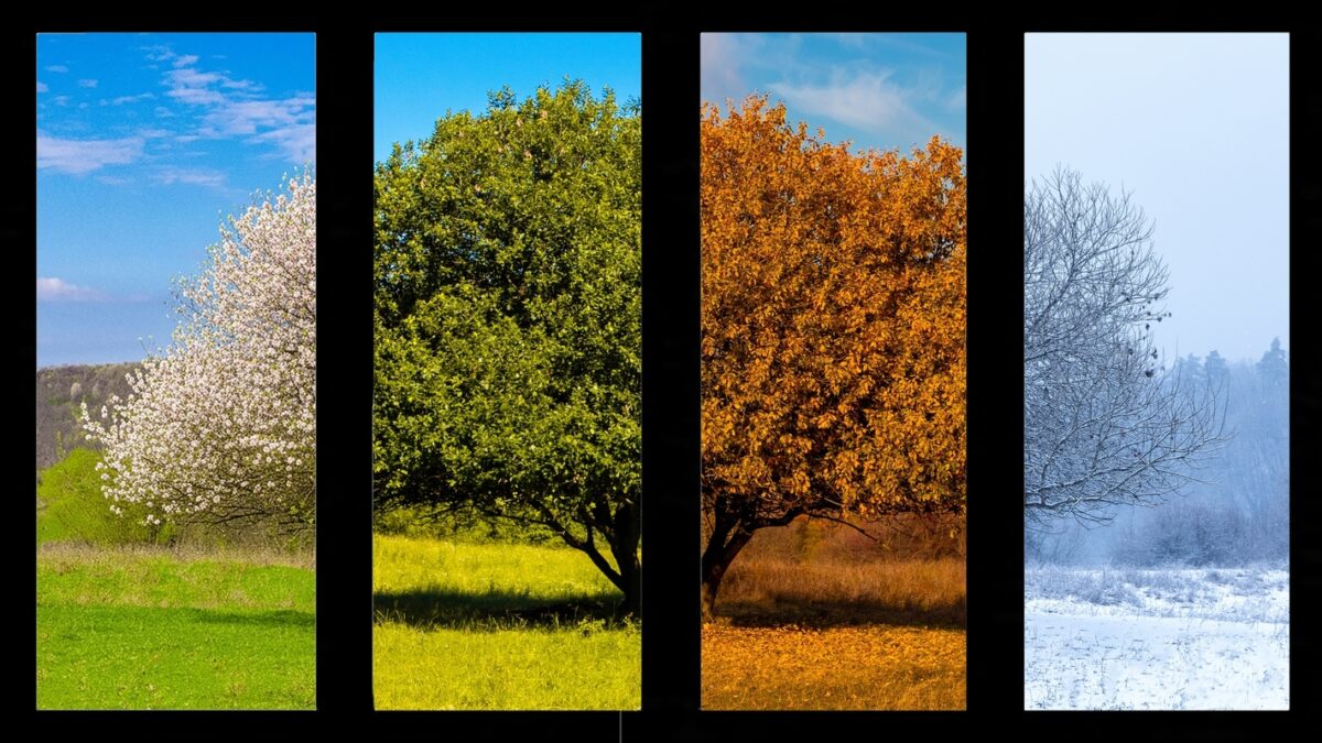 Stagioni e inclinazione terrestre: la vera causa del clima Stagioni e inclinazione terrestre: la vera causa del clima