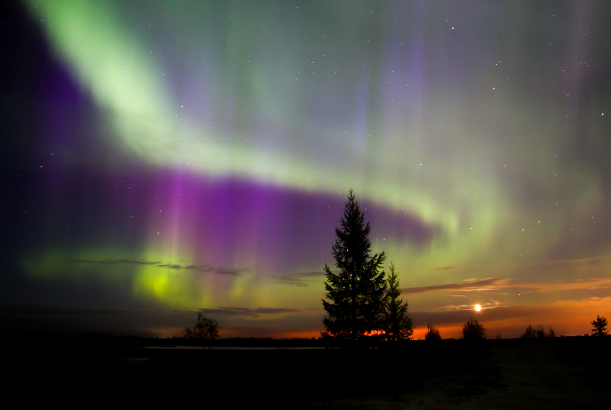 L’aurora boreale incanta le Dolomiti: il cielo del Cadore si accende di rosso e verde