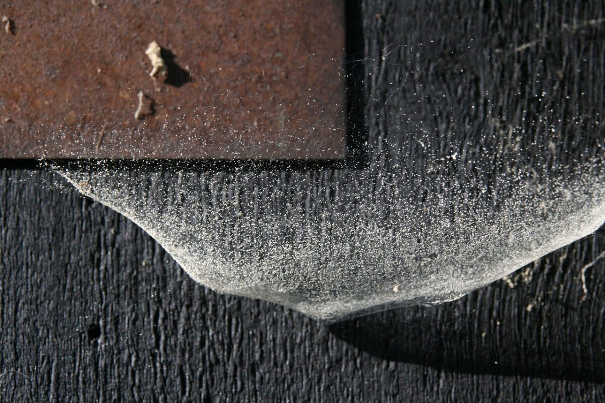 Polvere di casa: cosa rivela sull’inquinamento urbano