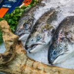 Salmoni e cocaina: come l’inquinamento invisibile sta cambiando i fiumi