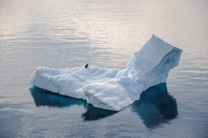 Inverno anomalo in Antartide: la penisola glaciale sperimenta uno shock termico senza precedenti