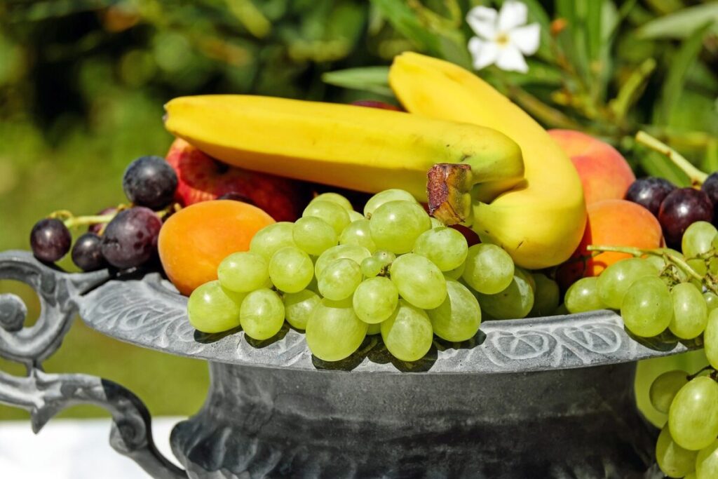 I meccanismi scientifici per la corretta conservazione della frutta in ambiente domestico