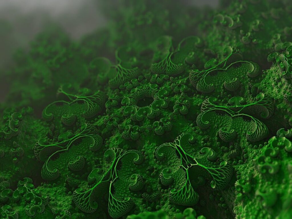 Vibrio vulnificus in Italia: il vero rischio Vibrio vulnificus in Italia: il vero rischio