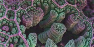 Vibrio vulnificus in Italia: il vero rischio