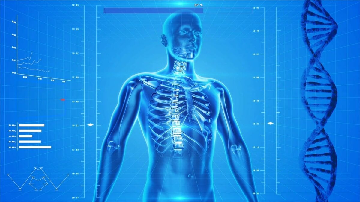 Misteriosi antenati fantasma celati nel DNA umano Misteriosi antenati fantasma celati nel DNA umano