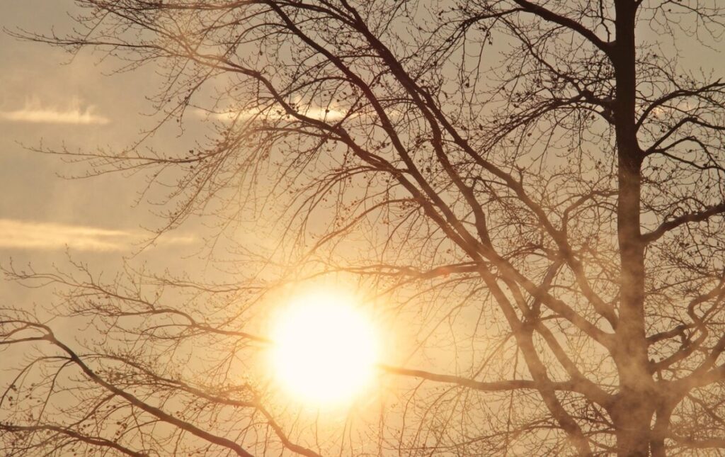Il mistero della rotazione differenziale del Sole Il mistero della rotazione differenziale del Sole