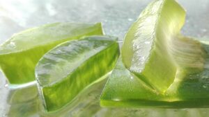 Proprietà e benefici del gel di Aloe Vera