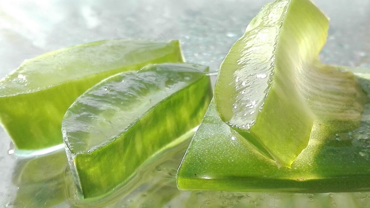Proprietà e benefici del gel di Aloe Vera Proprietà e benefici del gel di Aloe Vera