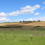 Emergenze ambientali: terra e mare in pericolo